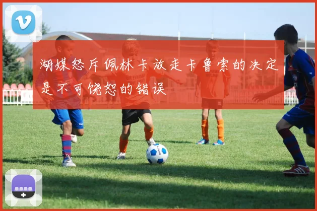 湖媒怒斥佩林卡放走卡鲁索的决定是不可饶恕的错误